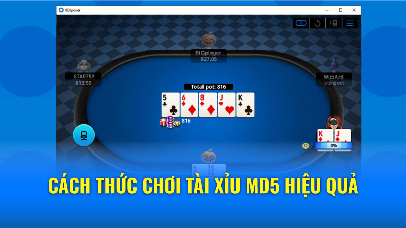 Phân tích chiến lược trong các loại Poker phổ biến
