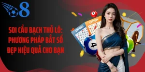 Soi Cầu Bạch Thủ Lô: Phương Pháp Bắt Số Đẹp Hiệu Quả Cho Bạn