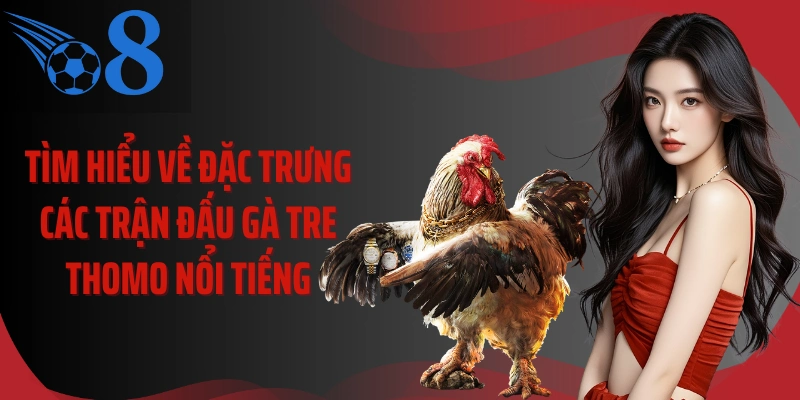 Tìm hiểu về đặc trưng các trận đấu gà tre Thomo nổi tiếng