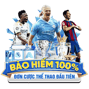 Bảo Hiểm 100%